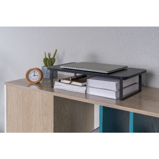 Miniatura galerii Podstawa pod monitor WPEMS4